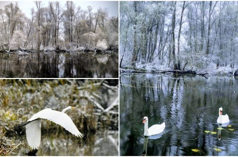 MixCollage-22-Nov-2025-04-54-PM-1722 MixCollage-22-Nov-2025-04-54-PM-1722