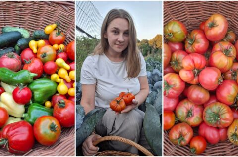 MixCollage-22-Sep-2025-11-15-AM-6418