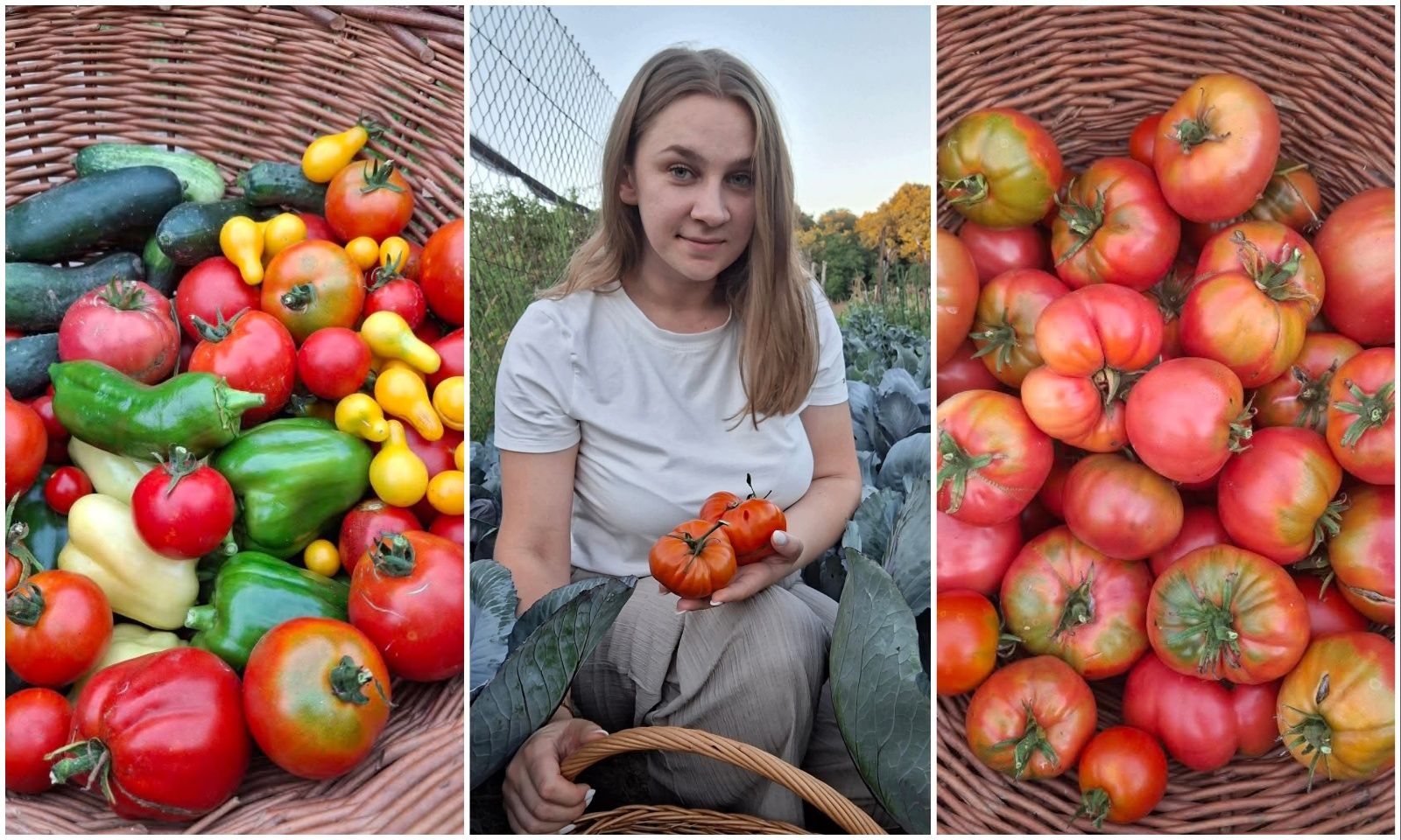 MixCollage-22-Sep-2025-11-15-AM-6418