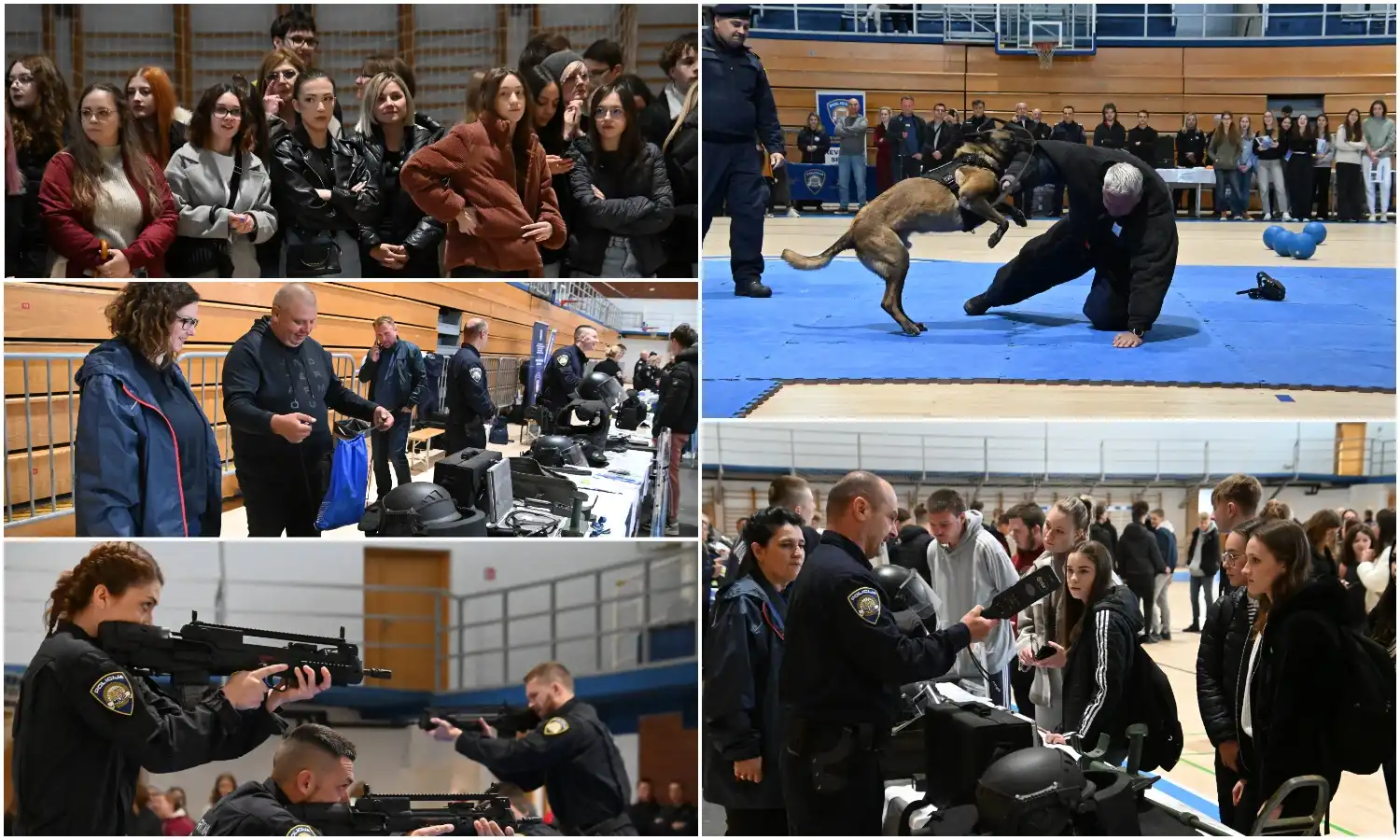 MixCollage-23-Apr-2024-12-43-PM-8347 MixCollage-23-Apr-2024-12-43-PM-8347