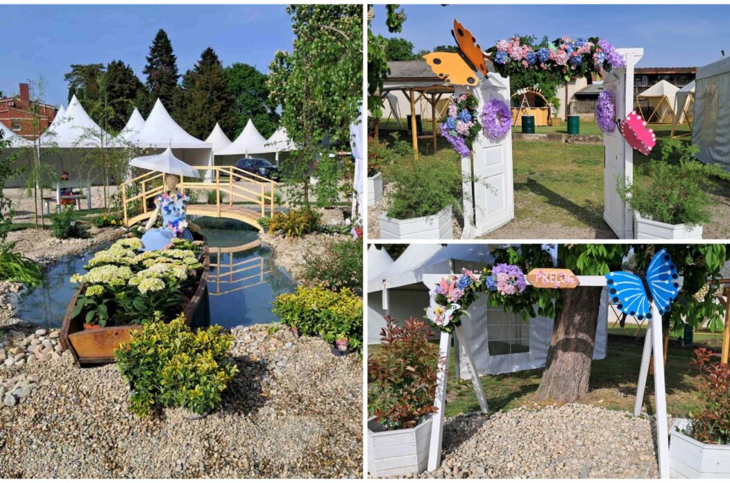 MixCollage-24-Apr-2025-08-53-AM-4881 MixCollage-24-Apr-2025-08-53-AM-4881