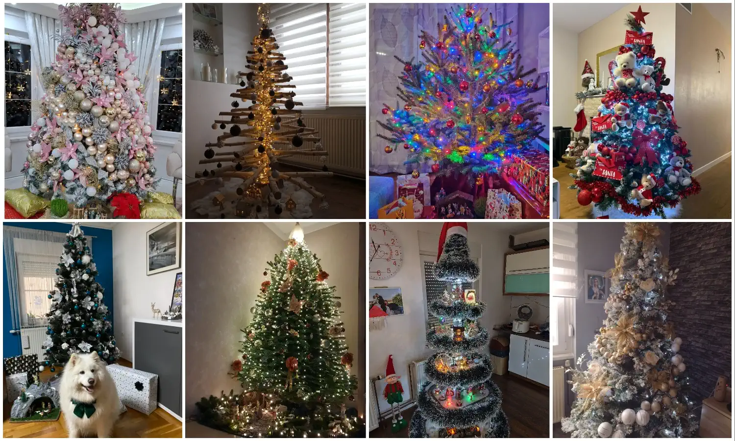 Božićna drvca i jelke 2024 foto čitatelja (94)