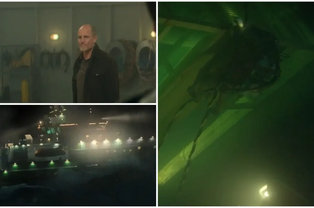 MixCollage-24-Feb-2025-12-10-PM-230 MixCollage-24-Feb-2025-12-10-PM-230