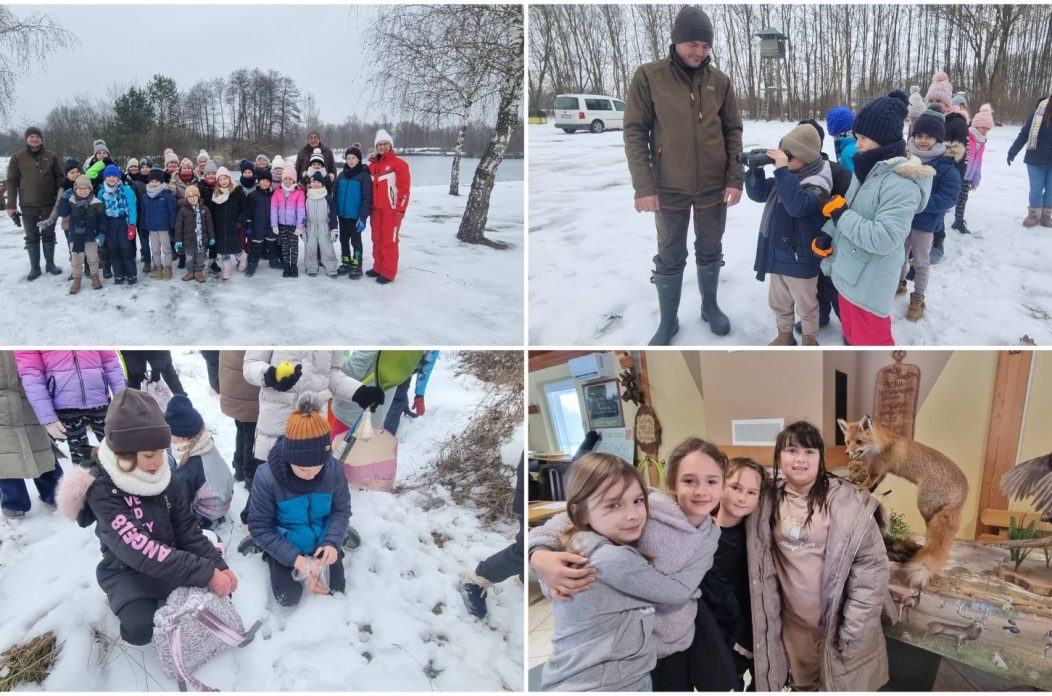 MixCollage-24-Jan-2026-09-09-AM-5307