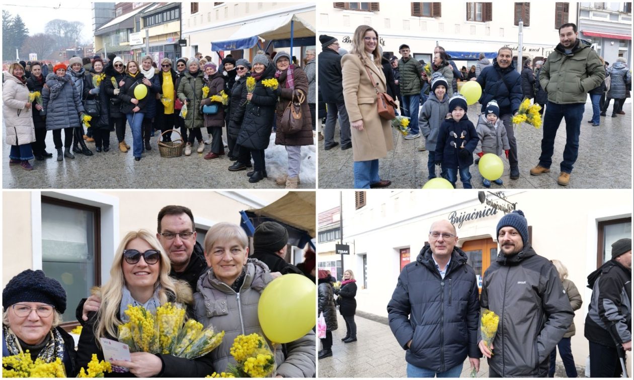 MixCollage-24-Jan-2026-10-49-AM-2416