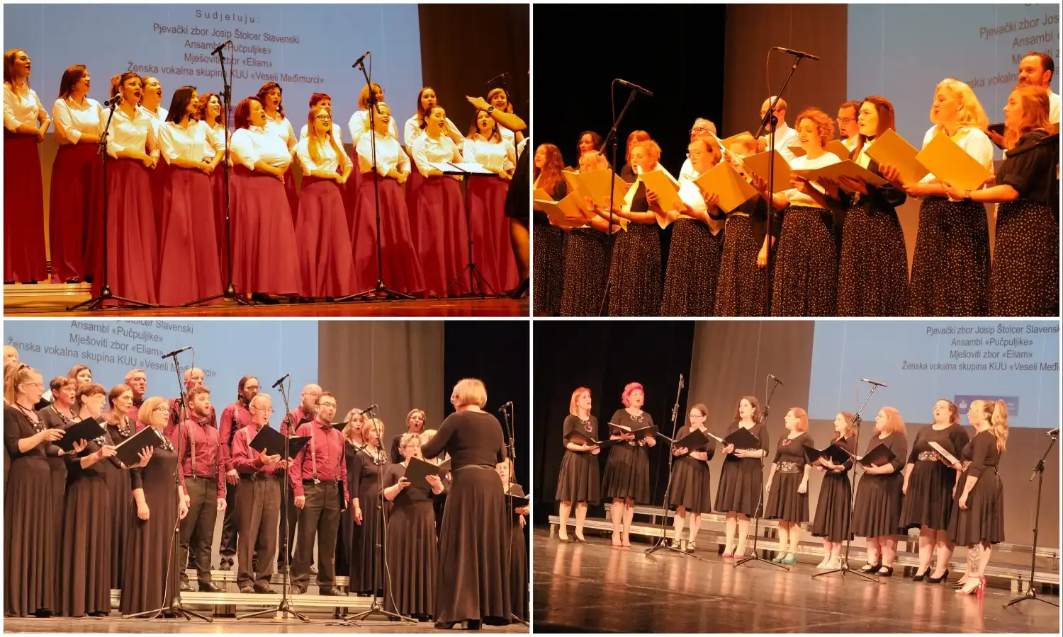 Koncert lepi glas se daleko čuje 2024. (12)