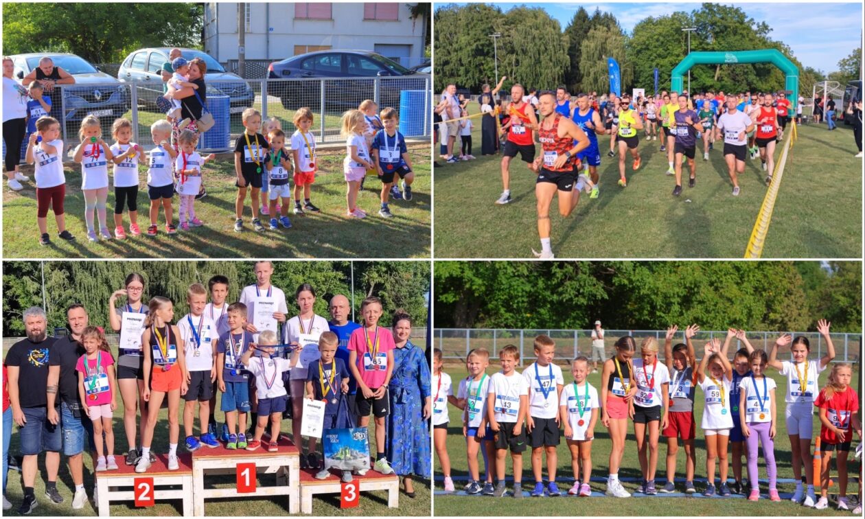 MixCollage-25-Aug-2025-10-10-AM-8239