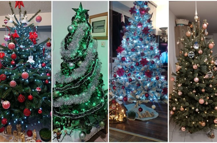 MixCollage-25-Dec-2025-12-48-PM-8077