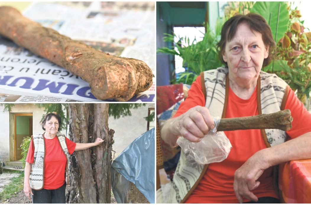 JELKA JANIĆ Kostur iz šume kod Svetog Urbana probudio je stare duhove