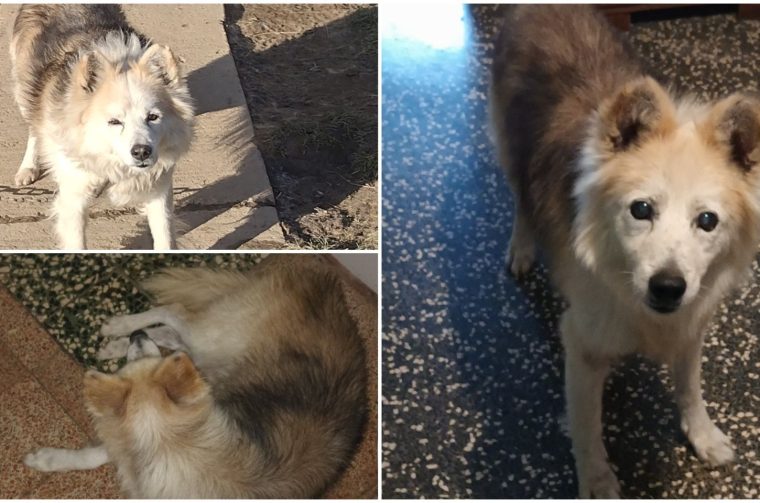 MixCollage-25-Nov-2025-09-03-AM-1905