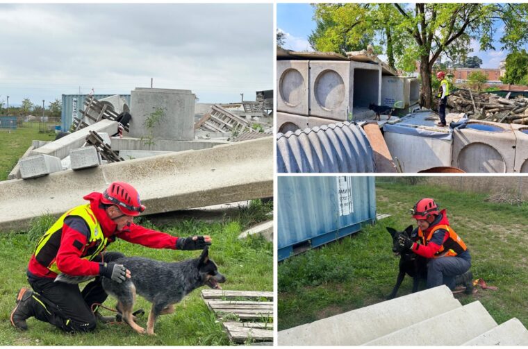 MixCollage-25-Sep-2025-06-58-PM-5003