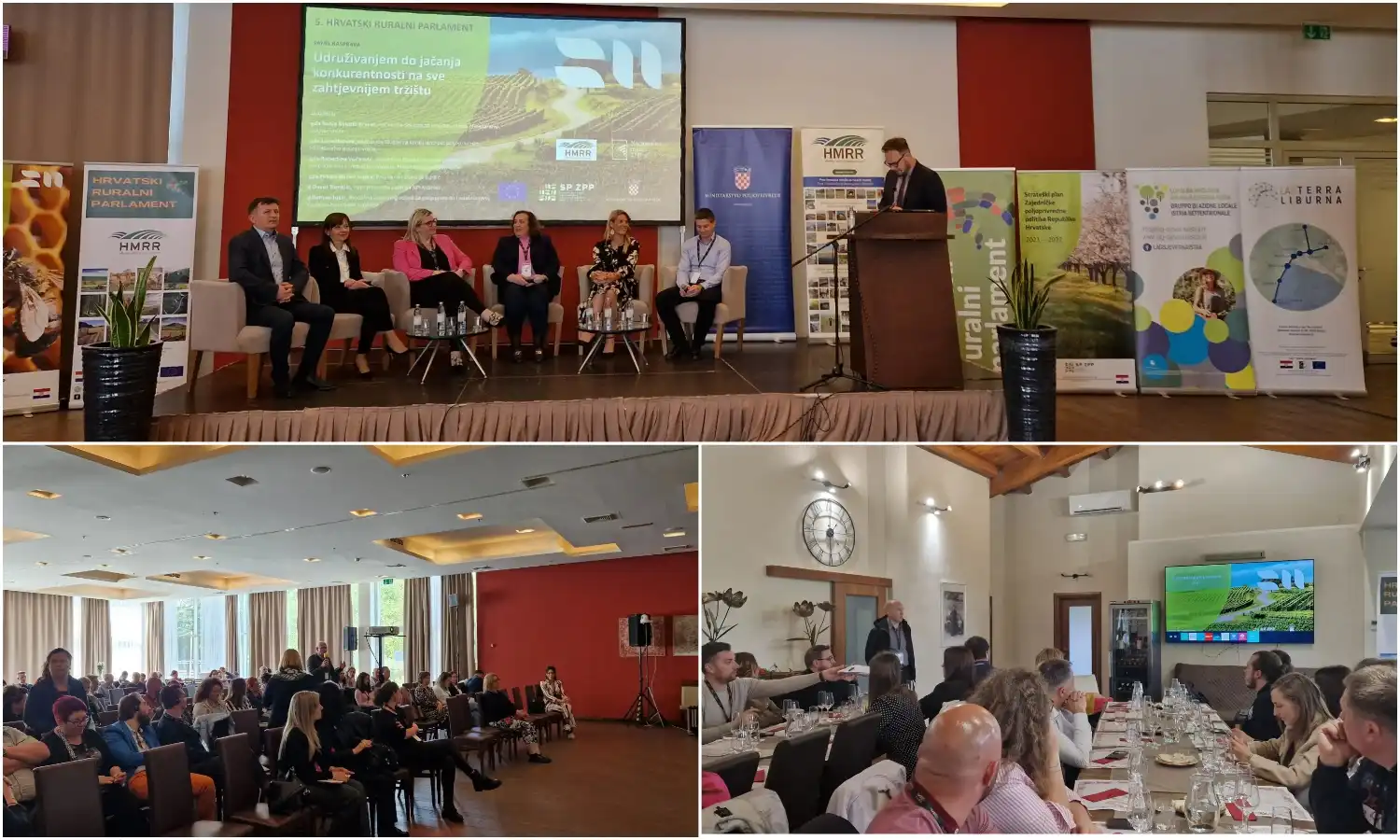 MixCollage-26-Apr-2024-11-26-AM-8129 MixCollage-26-Apr-2024-11-26-AM-8129