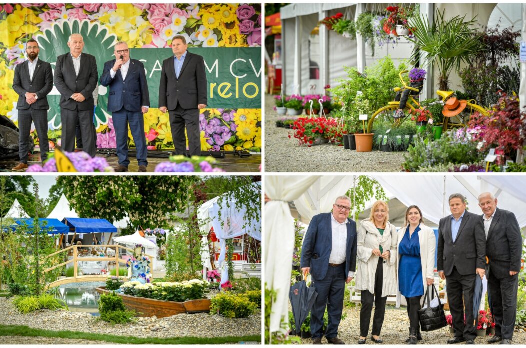 MixCollage-26-Apr-2025-10-27-AM-174