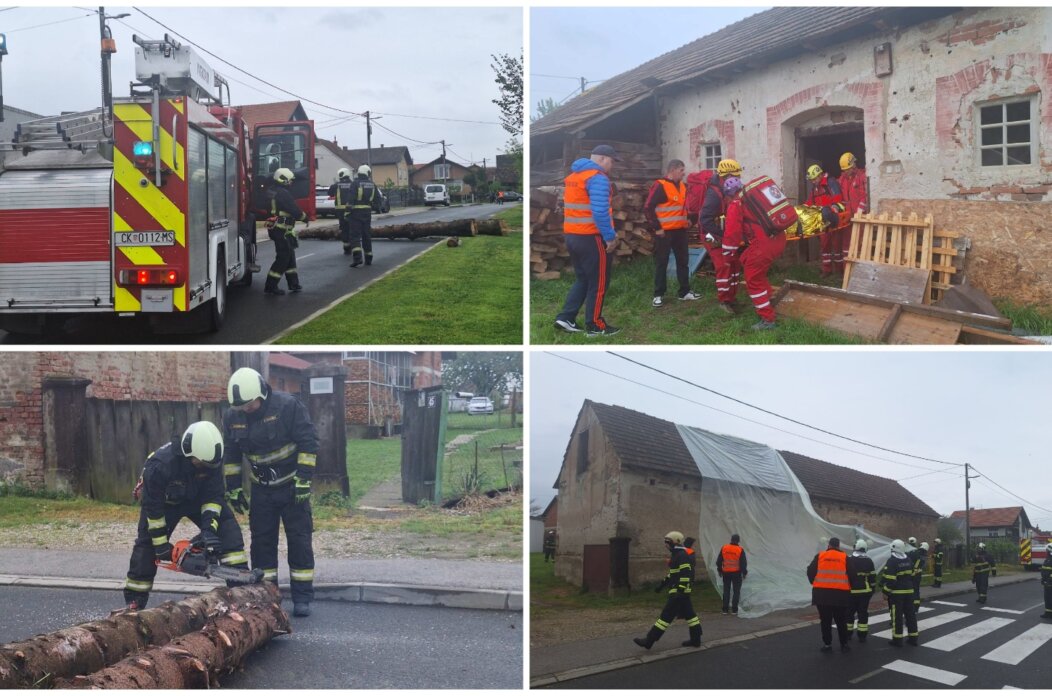 MixCollage-26-Apr-2025-11-20-AM-4731