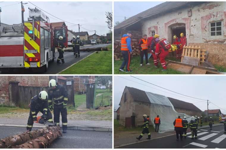 MixCollage-26-Apr-2025-11-20-AM-4731