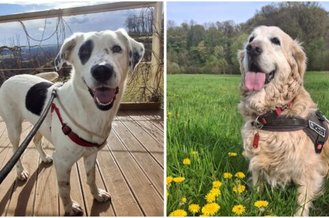 MixCollage-26-Aug-2025-06-43-AM-5644