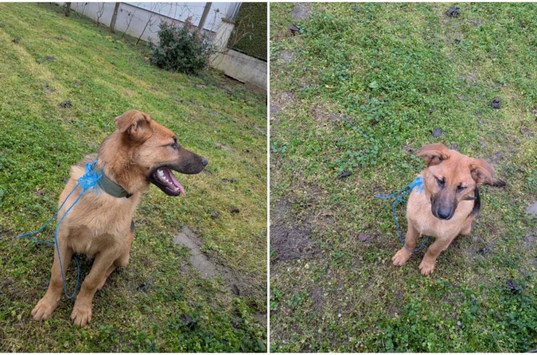 MixCollage-26-Dec-2025-11-30-AM-3204