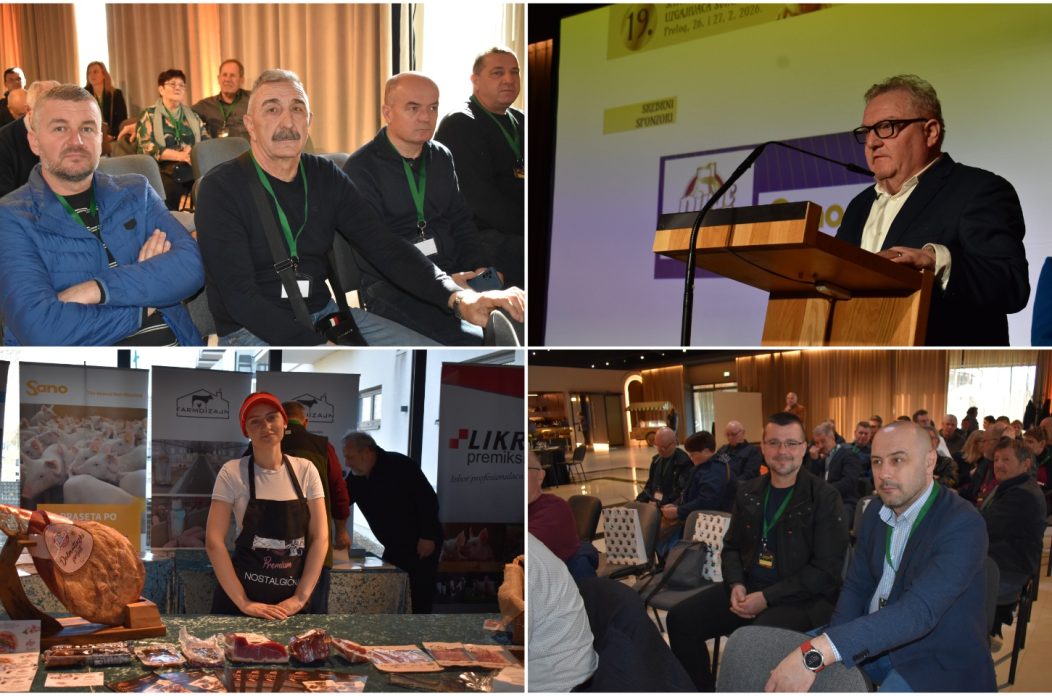 MixCollage-26-Feb-2026-04-39-PM-2792 MixCollage-26-Feb-2026-04-39-PM-2792