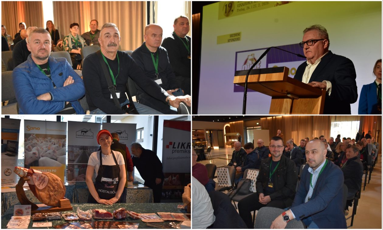 MixCollage-26-Feb-2026-04-39-PM-2792 MixCollage-26-Feb-2026-04-39-PM-2792