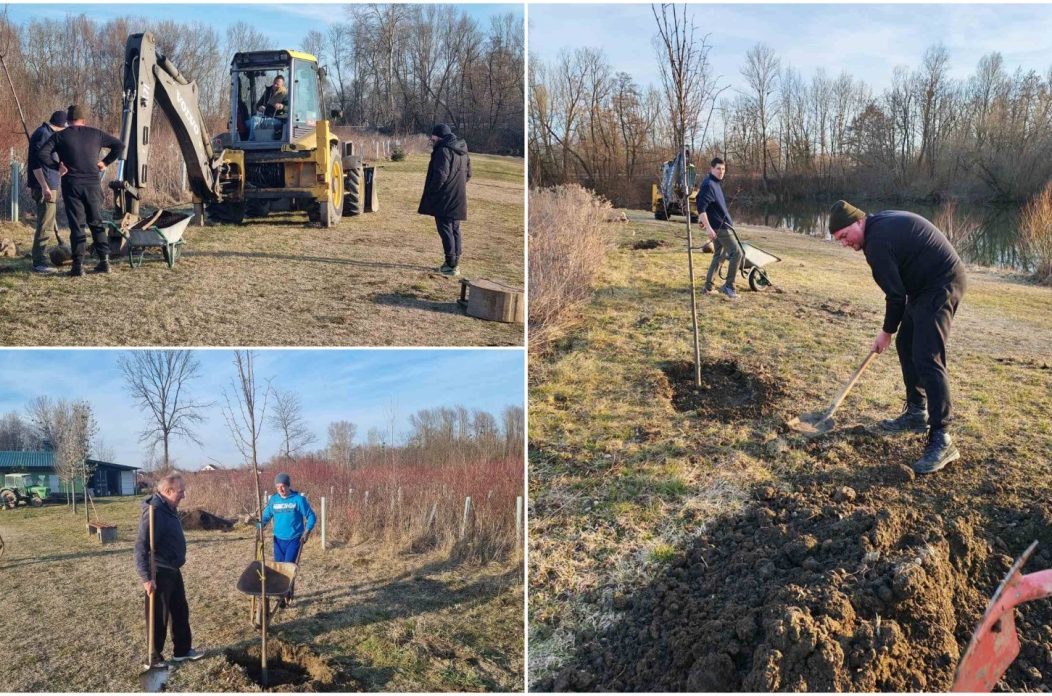 MixCollage-26-Feb-2026-07-06-PM-5224 MixCollage-26-Feb-2026-07-06-PM-5224