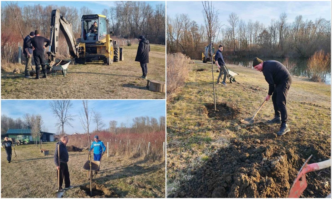 MixCollage-26-Feb-2026-07-06-PM-5224 MixCollage-26-Feb-2026-07-06-PM-5224