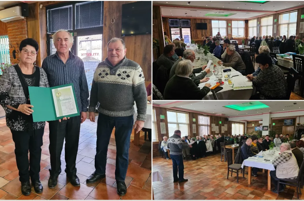 MixCollage-26-Jan-2025-06-52-PM-8916