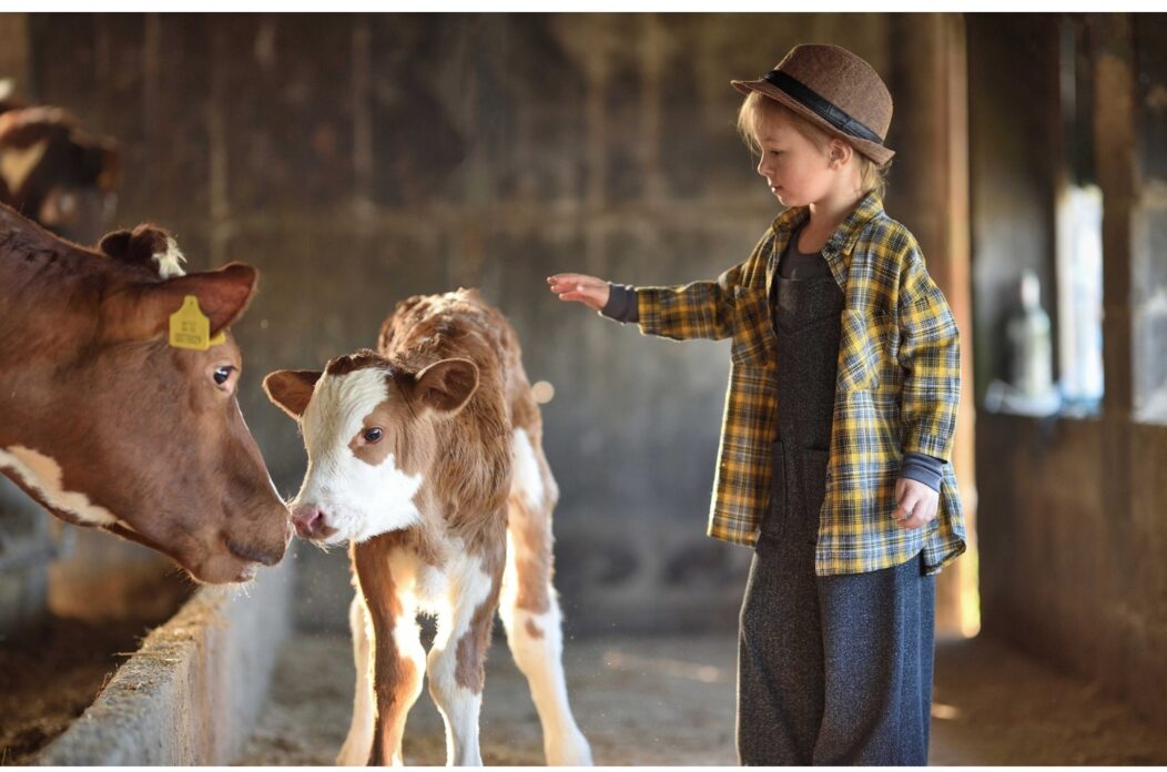 MixCollage-26-Jun-2025-10-13-AM-2369 MixCollage-26-Jun-2025-10-13-AM-2369