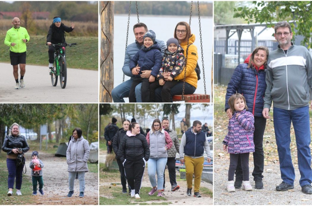 MixCollage-26-Oct-2025-04-57-PM-3201 MixCollage-26-Oct-2025-04-57-PM-3201