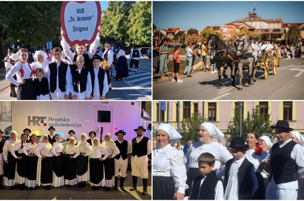 MixCollage-26-Sep-2025-05-47-PM-9284