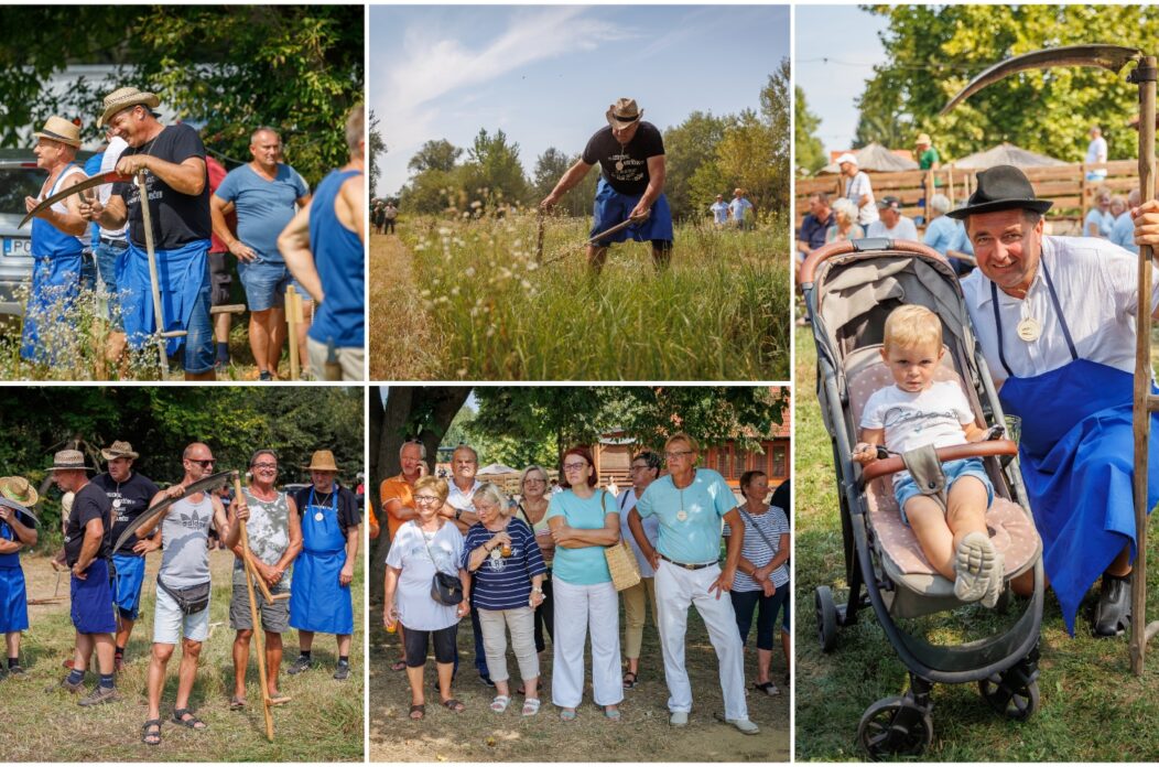 MixCollage-27-Aug-2025-07-25-AM-4106