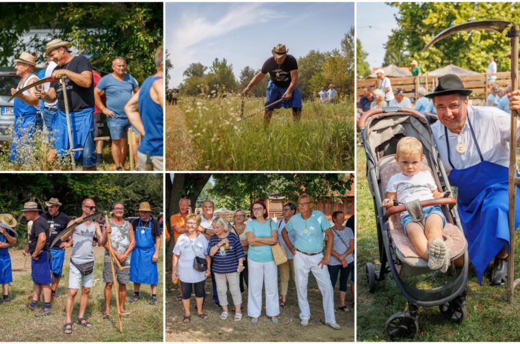 MixCollage-27-Aug-2025-07-25-AM-4106