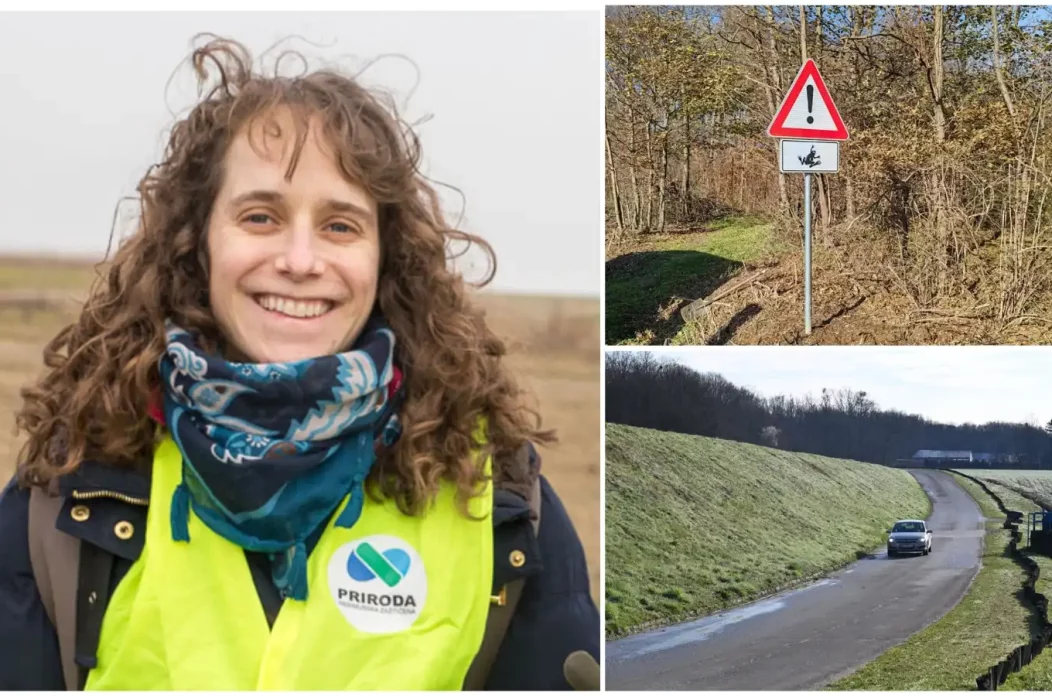 Sara Kočiš Sara Kočiš