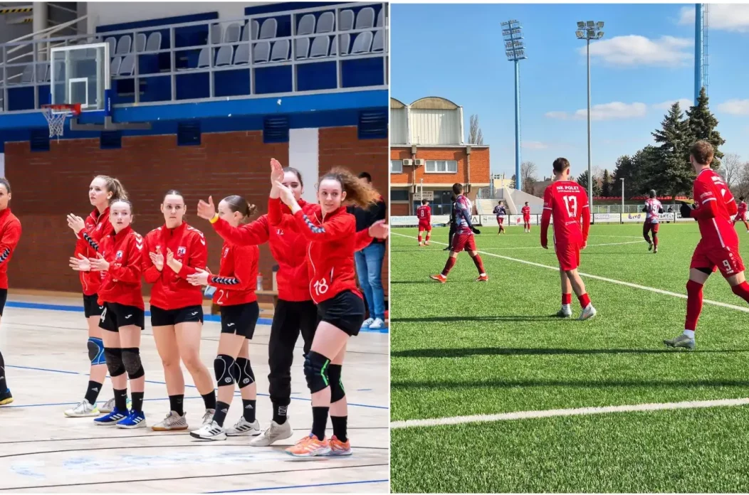 MixCollage-27-Feb-2025-09-17-AM-7685 MixCollage-27-Feb-2025-09-17-AM-7685