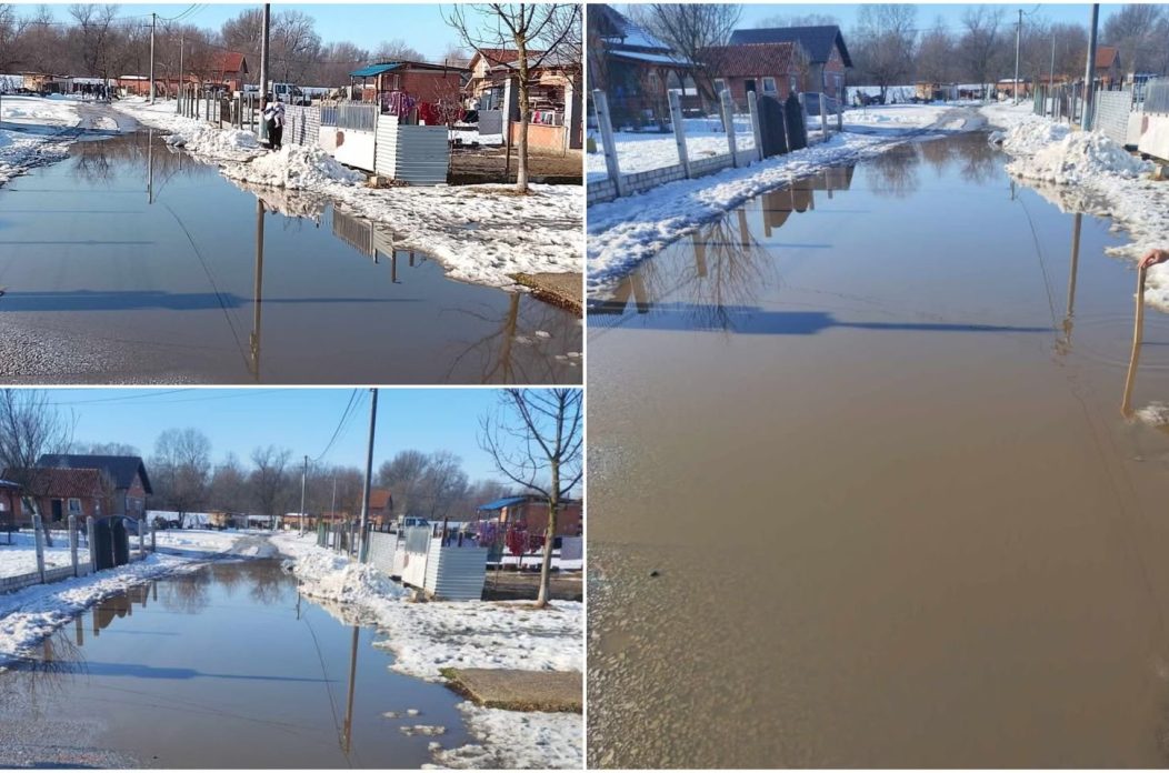 MixCollage-27-Jan-2026-01-55-PM-8335