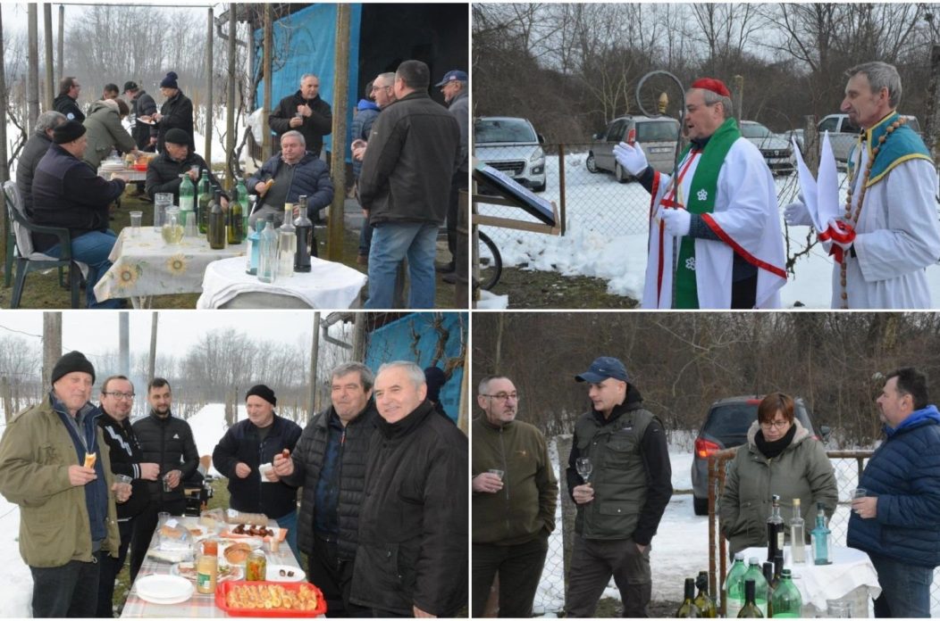 MixCollage-27-Jan-2026-09-01-AM-6957