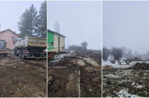 MixCollage-27-Jan-2026-10-24-AM-539