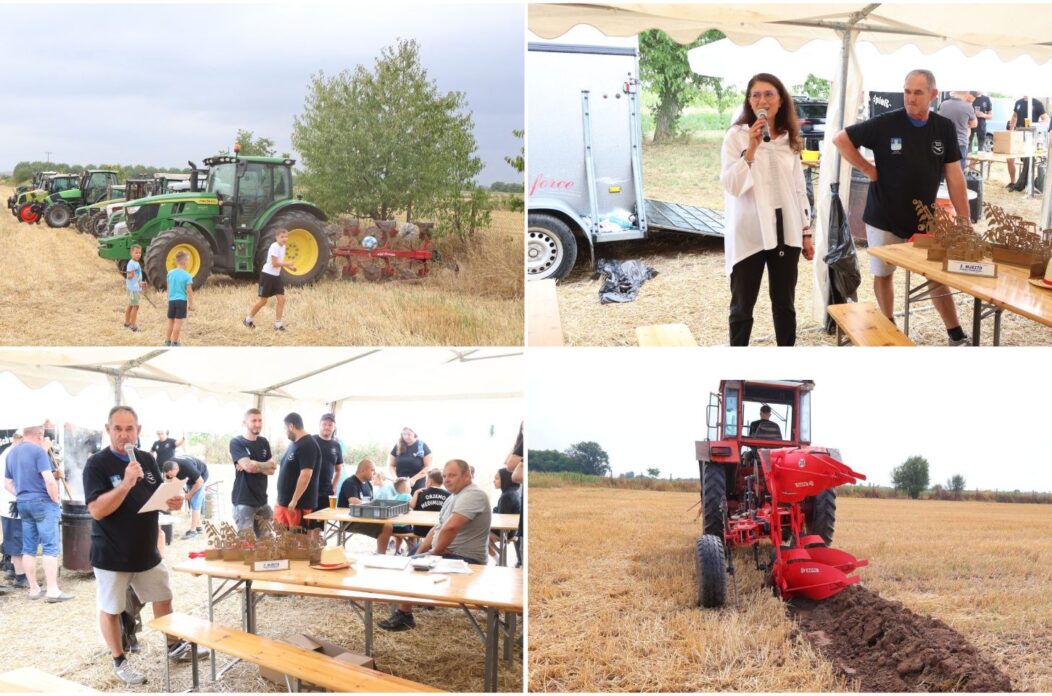 MixCollage-27-Jul-2025-10-42-AM-6854