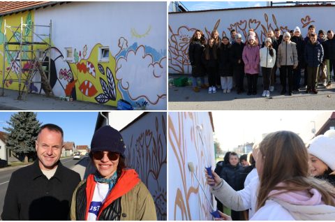 MixCollage-27-Nov-2025-10-28-AM-7661 MixCollage-27-Nov-2025-10-28-AM-7661