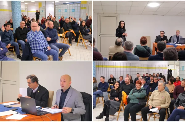 MixCollage-28-Dec-2024-07-23-AM-8715