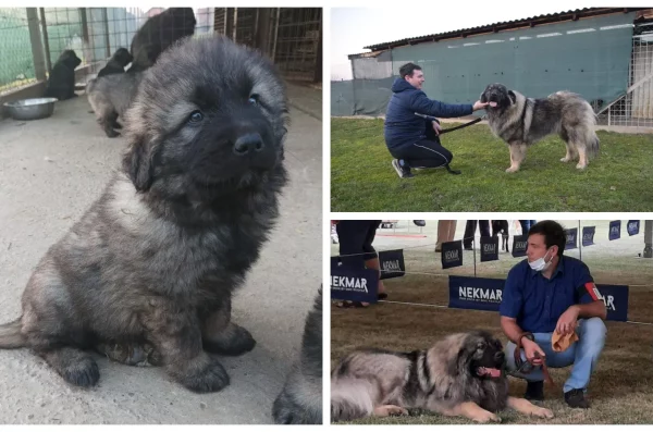 MixCollage-28-Feb-2025-06-53-PM-2472