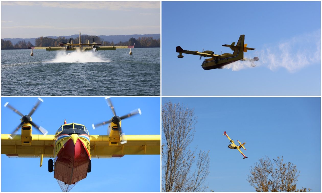 MixCollage-29-Oct-2025-11-07-AM-2332 MixCollage-29-Oct-2025-11-07-AM-2332