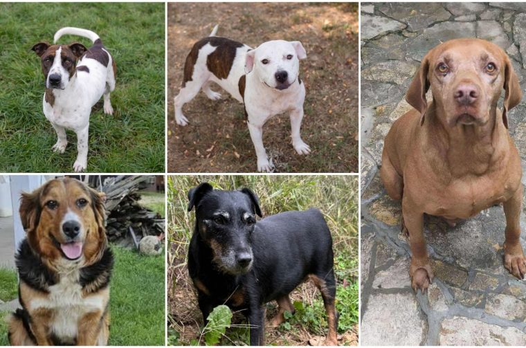 MixCollage-29-Oct-2025-12-23-PM-1521