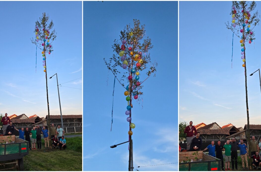 Majga u Otoku Majga u Otoku