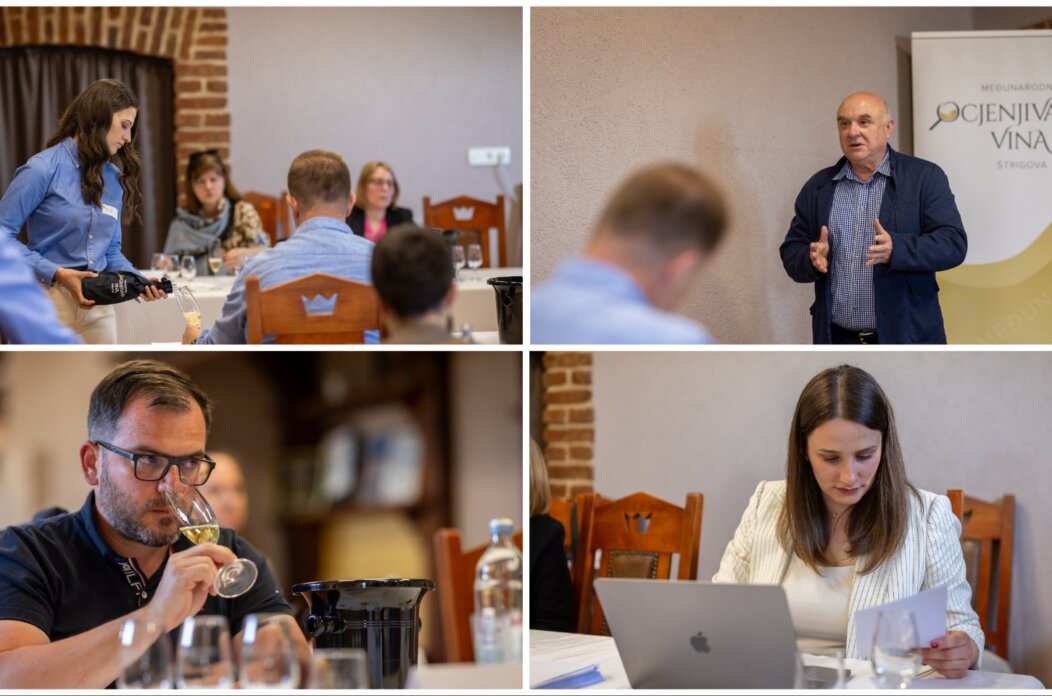 MixCollage-30-Apr-2025-11-43-AM-2238