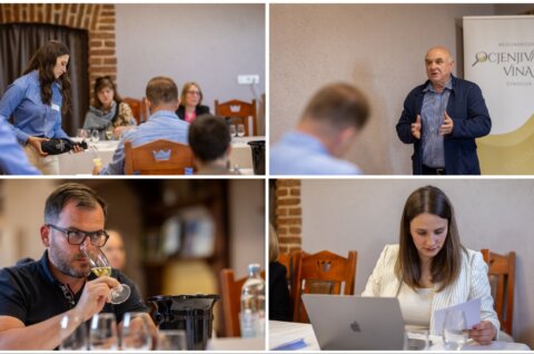 MixCollage-30-Apr-2025-11-43-AM-2238