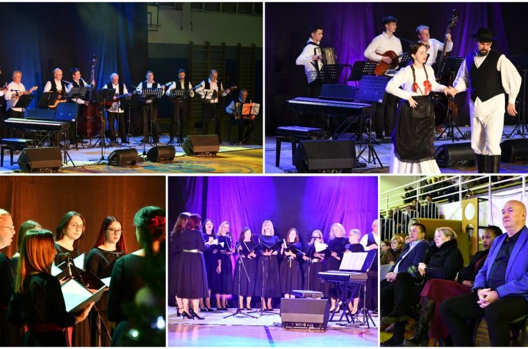 MixCollage-30-Dec-2025-08-52-PM-6461 MixCollage-30-Dec-2025-08-52-PM-6461