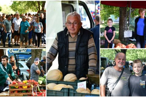 MixCollage-30-Jul-2025-09-44-AM-1944