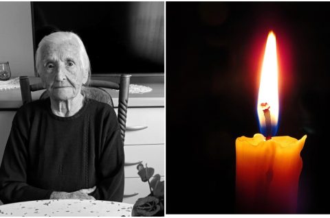 MixCollage-30-Sep-2025-09-49-AM-4314 MixCollage-30-Sep-2025-09-49-AM-4314