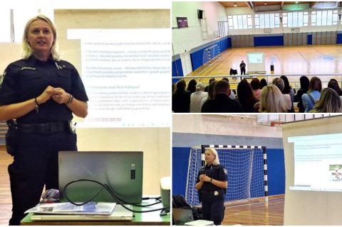 MixCollage-30-Sep-2025-09-59-AM-6950