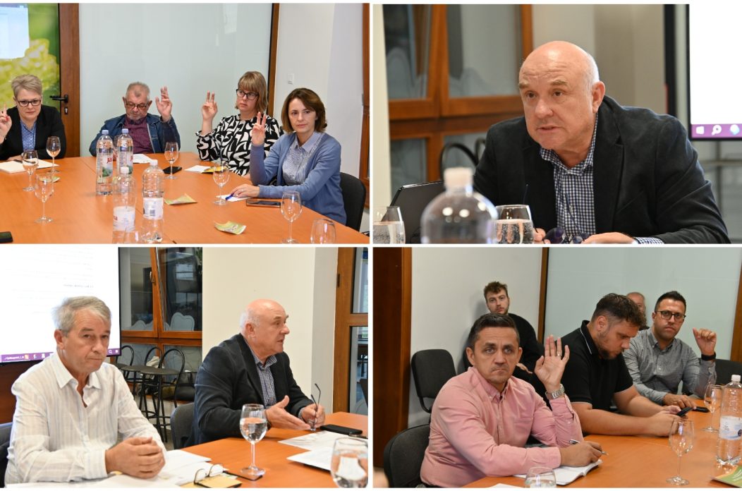 MixCollage-30-Sep-2025-10-48-AM-8611